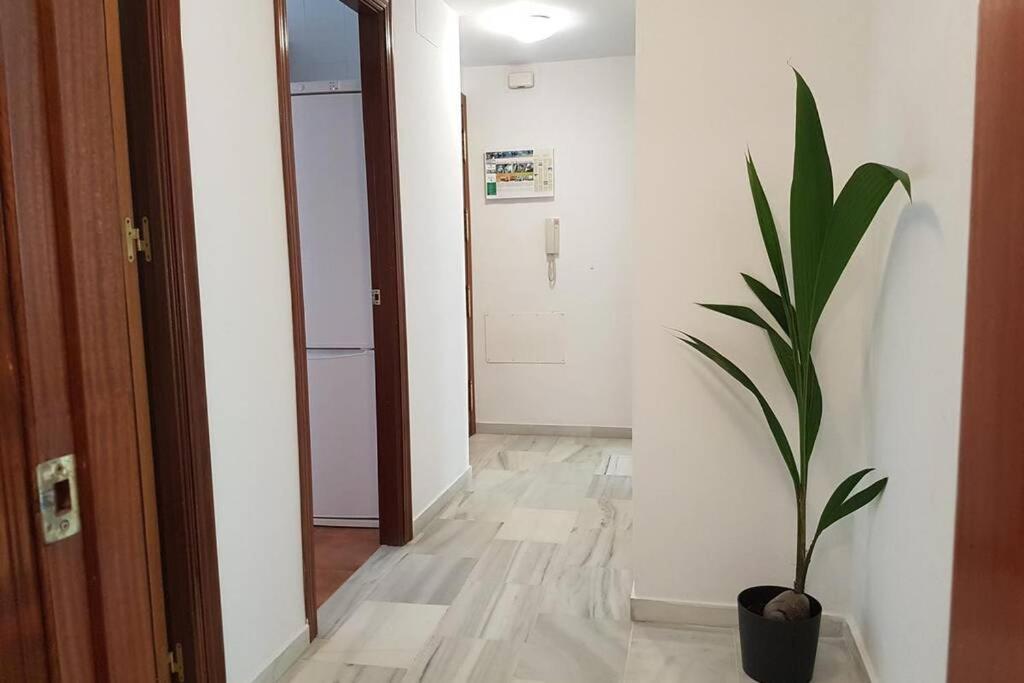 Apartment In Sanlucar